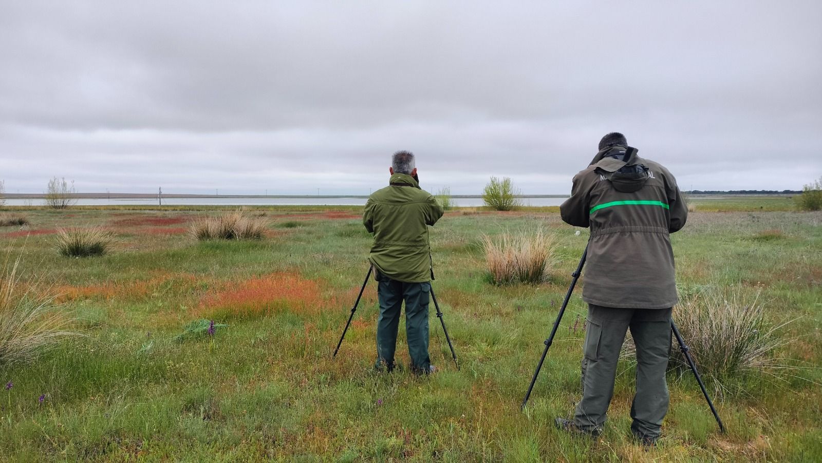 Avistamiento de aves migratorias. Foto JCyL