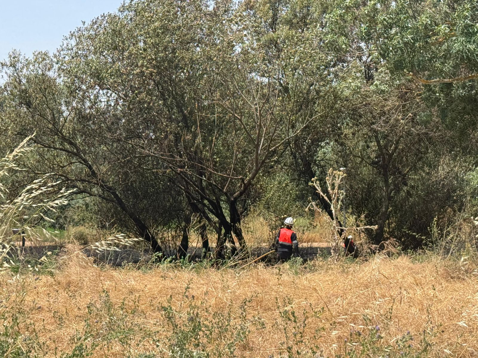 whatsapp-image-2025-06-21-at-14-43-08