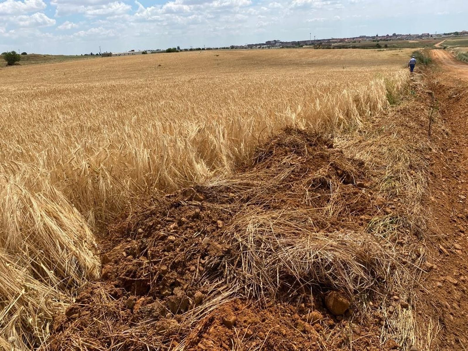 B09e3a54 e250 4649 94da ab7f8ece0532