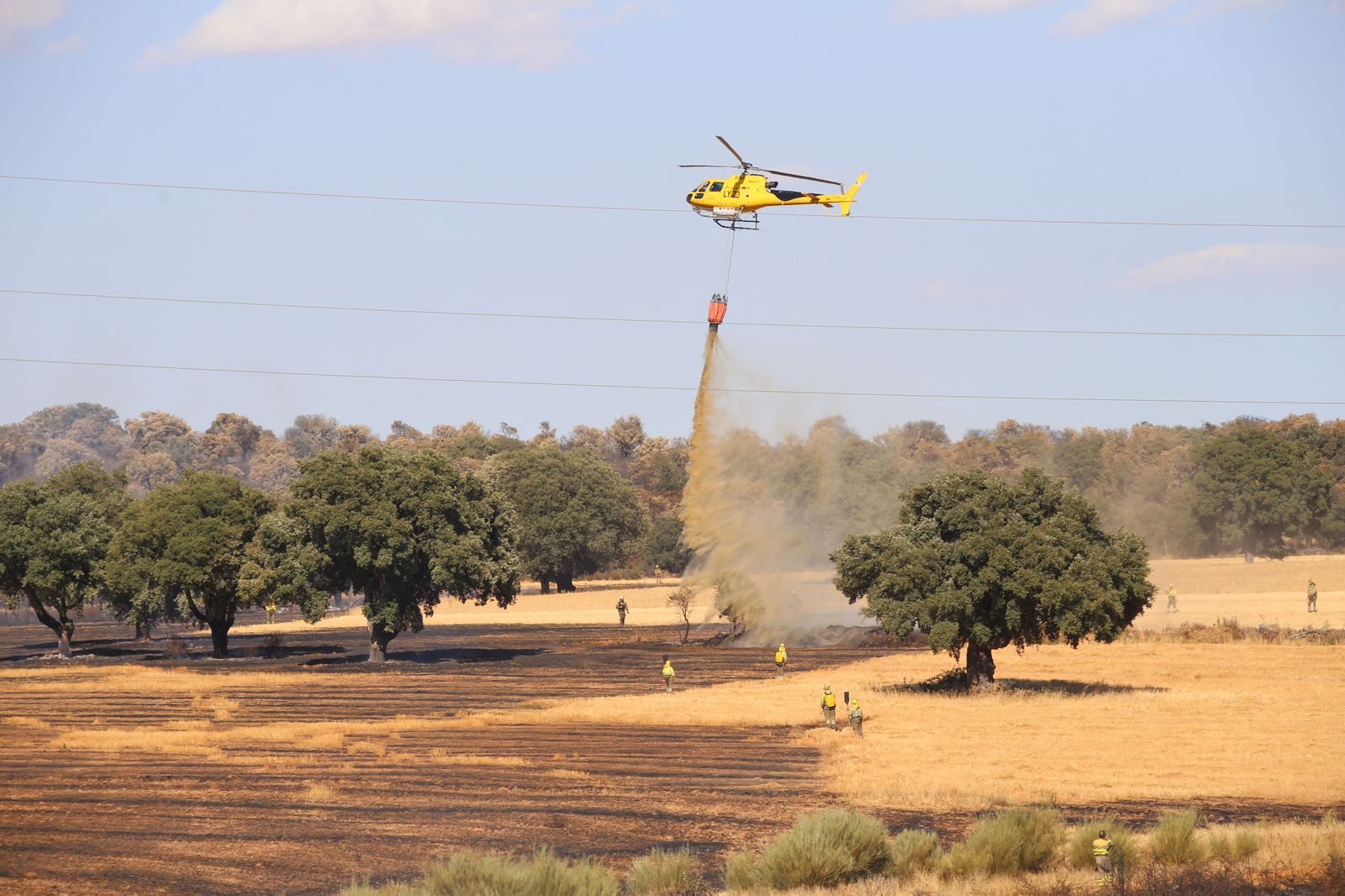incendio-en-marquiz-foto-ical-1