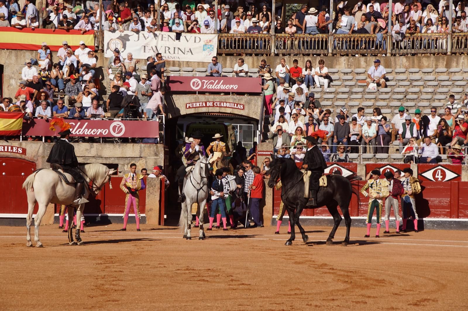 whatsapp-image-2024-09-14-at-20-09-20-2