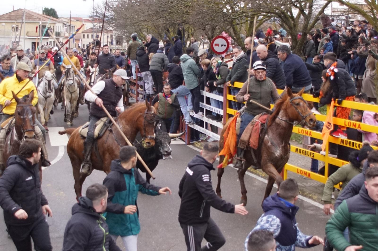 Encierro a Caballo en el Carnaval del Toro 2026 de Ciudad Rodrigo