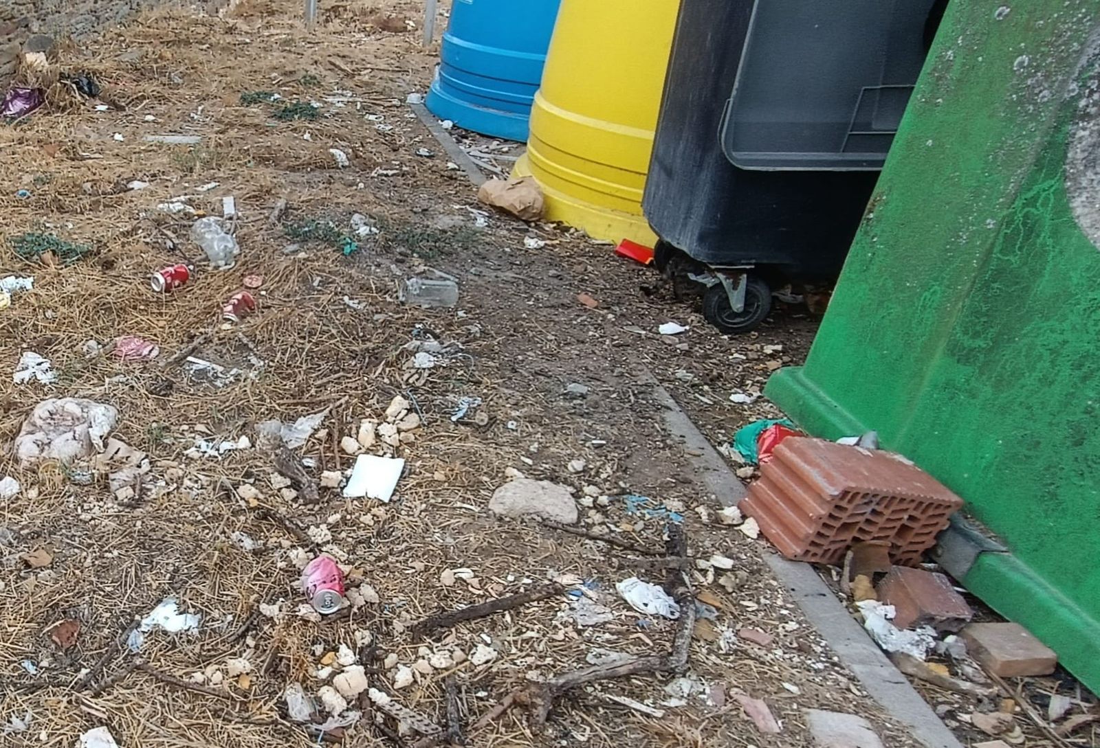 Zamora Sí denuncia la falta de mantenimiento en el barrio de Carrascal