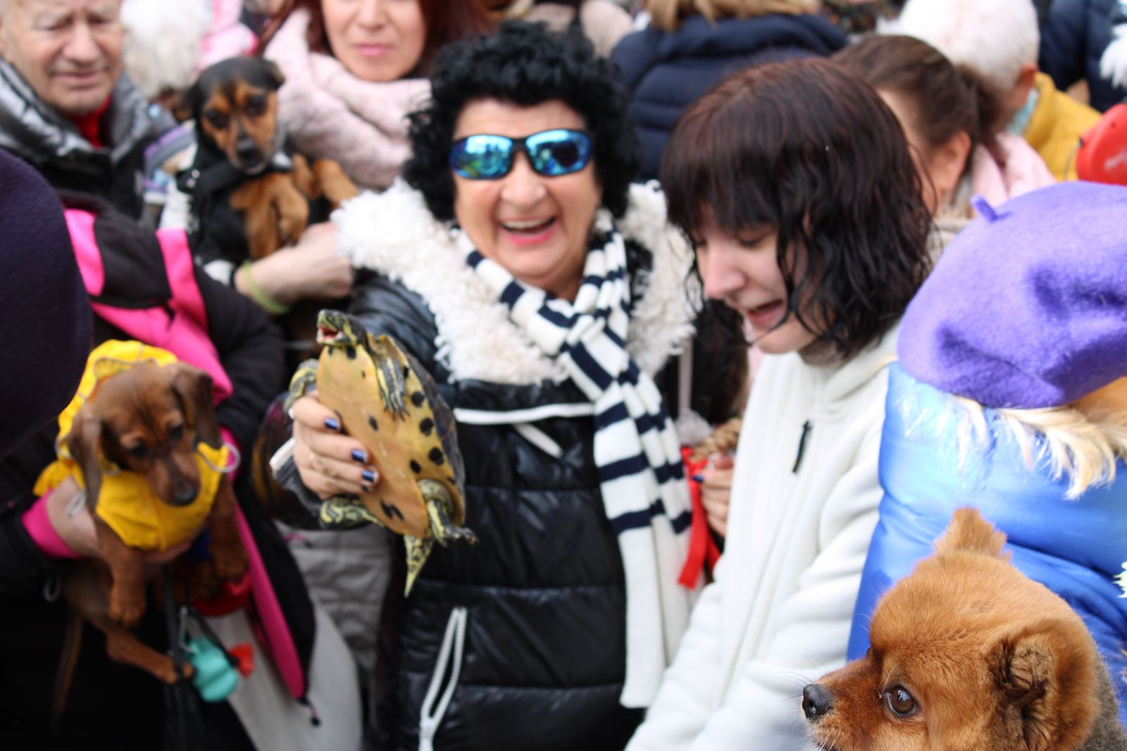 san-anton-bendicion-de-animales-2024-foto-s24h-78