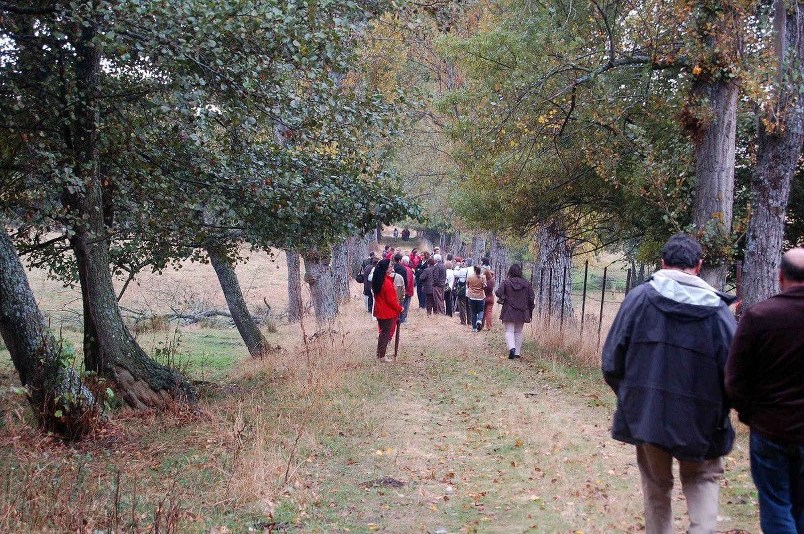 PASEO DESDE LA PUERTA DE LA JUSTA 12 OCTUBRE 2008 RED