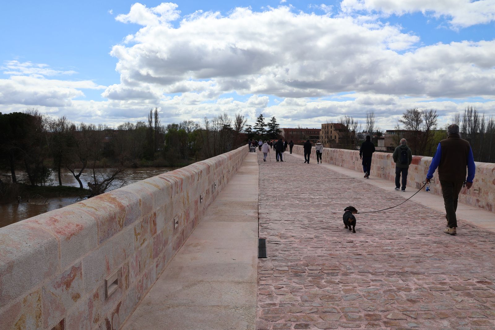 Reapertura Puente de Piedra Zamora. Archivo