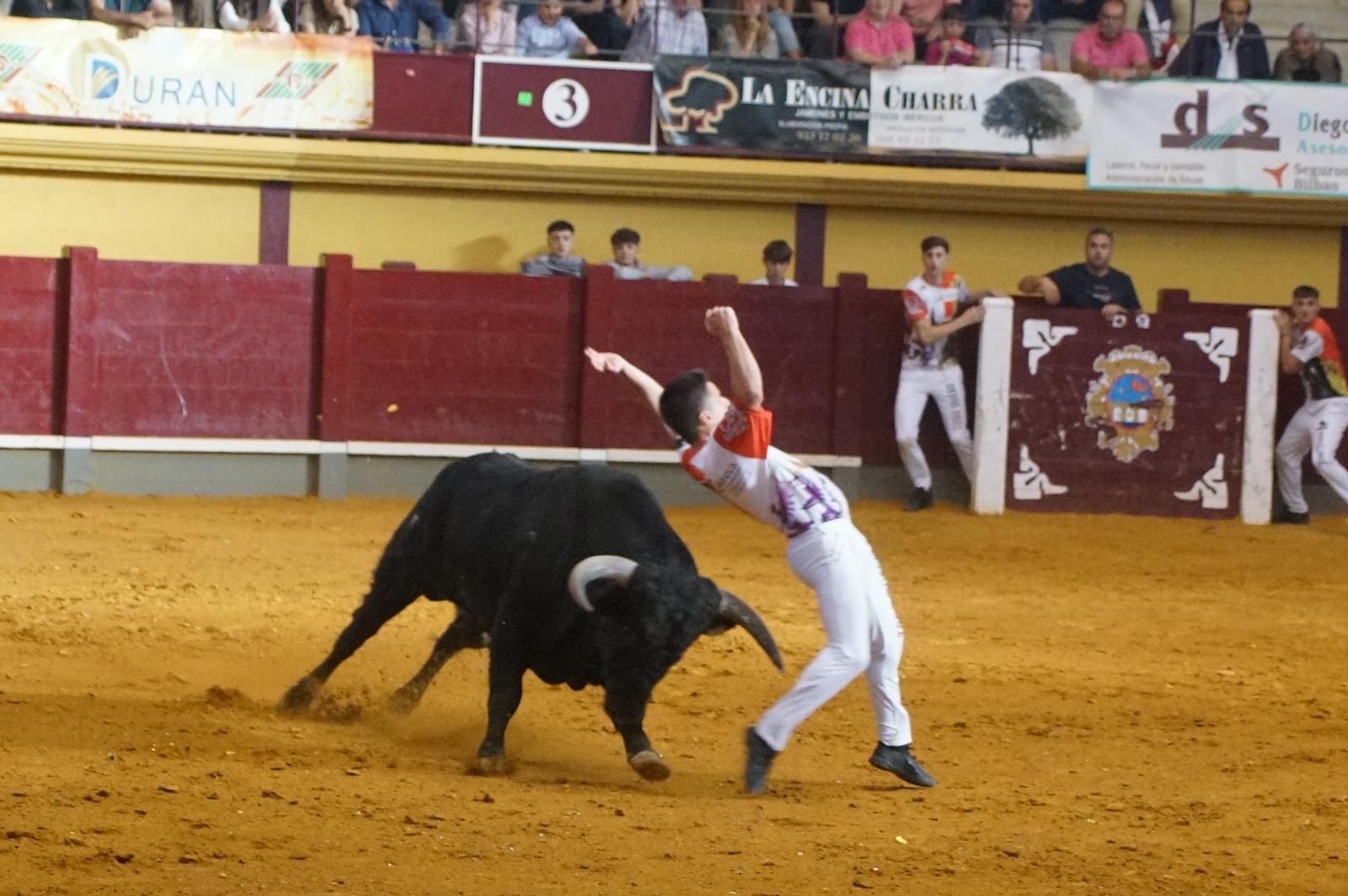 Alba de Tormes celebra un nuevo concurso de cortes