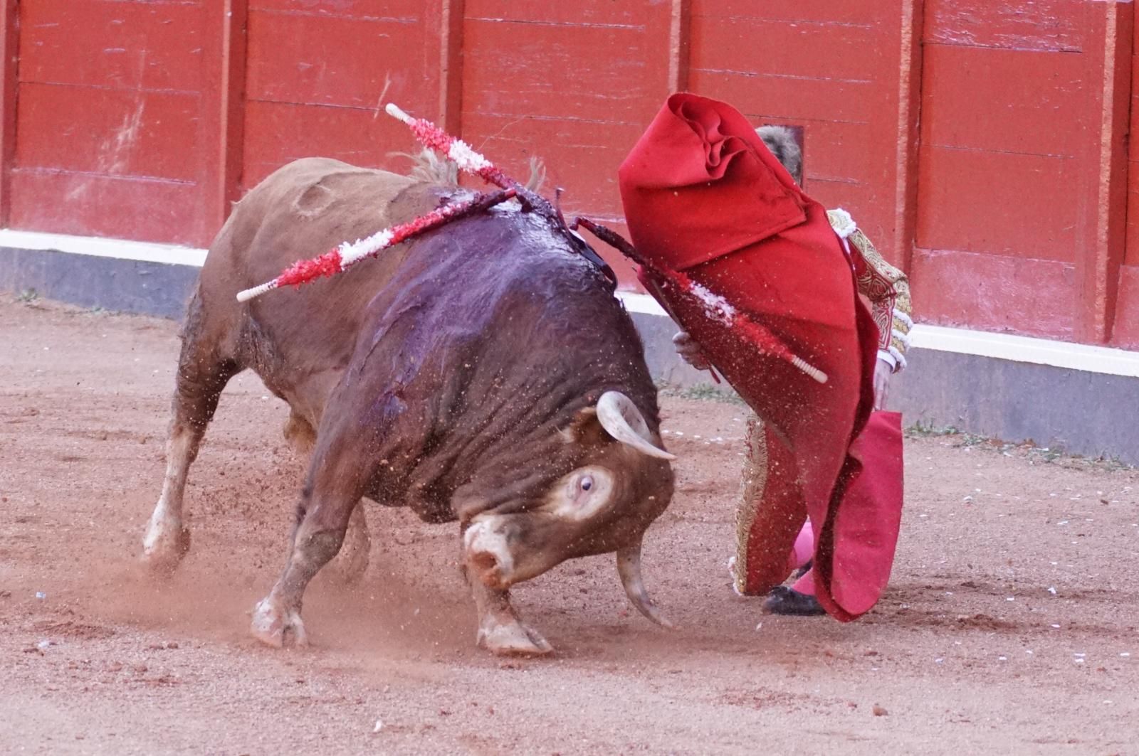 La corrida concurso para despedir la feria con Morante, Talavante y Borja Jiménez: imágenes de los mejores momentos en La Glorieta