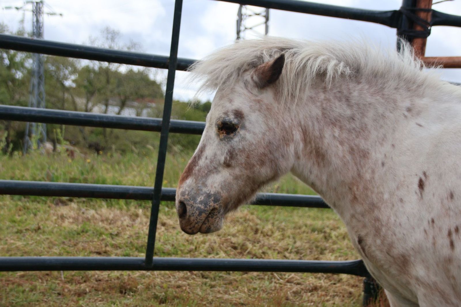 20240501102643-img-2887