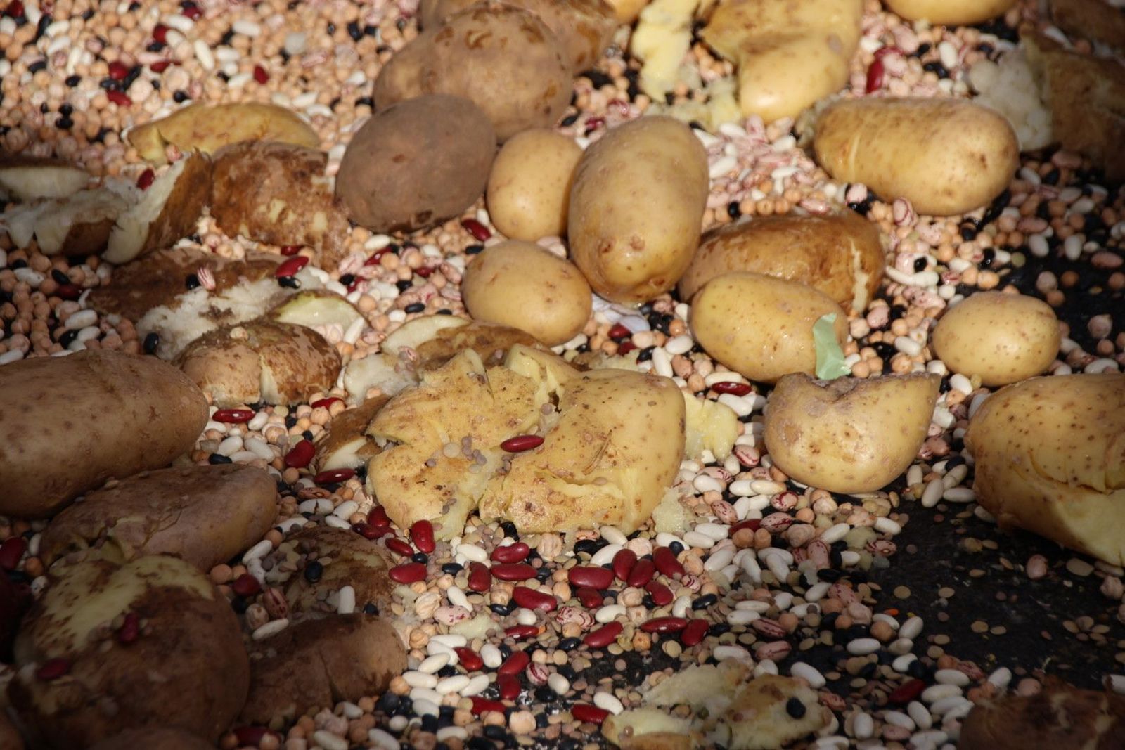 20240214113004-img-6385