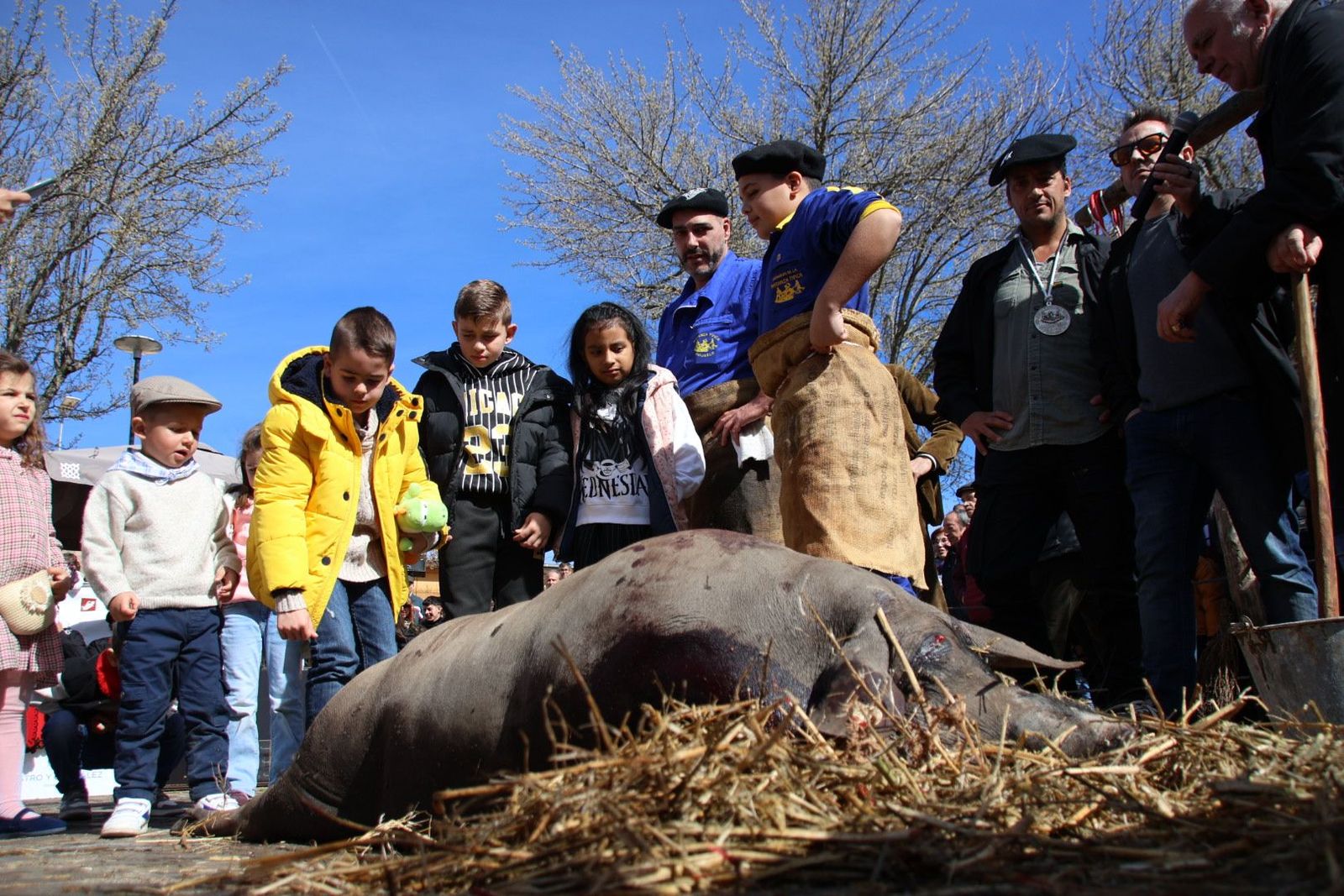 20240217134517-img-6898