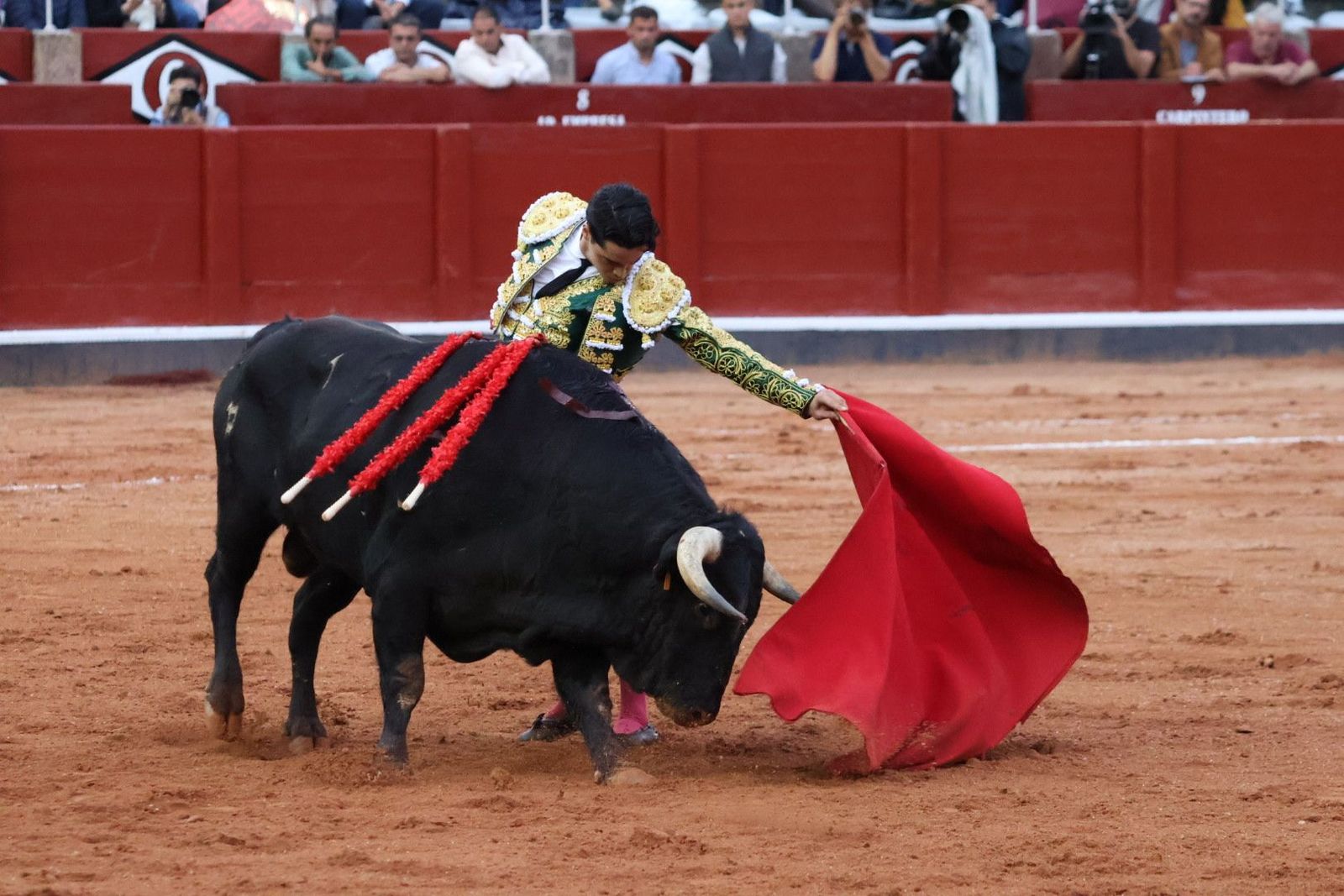 20230915192252-img-4346