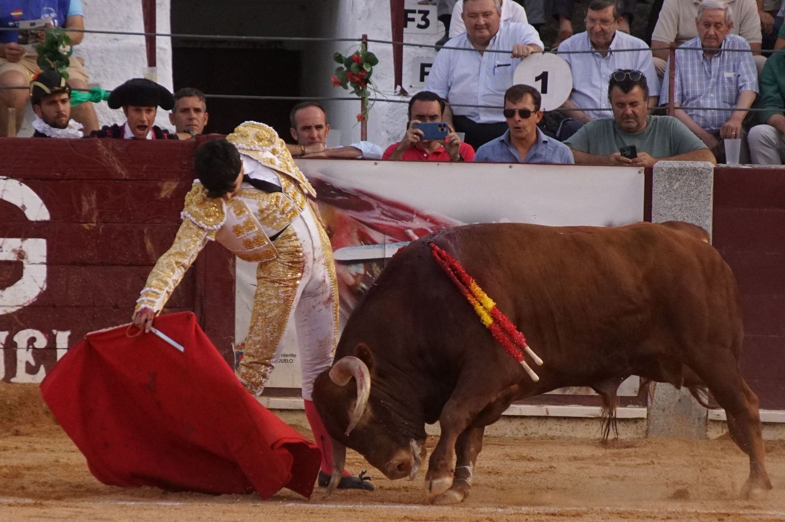 Novillada mixta en picadores en Guijuelo, 17 de agosto