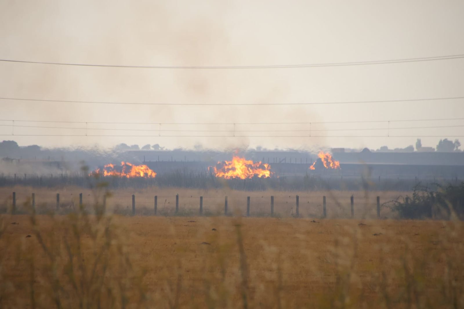 Un incendio de nivel 2 afecta al entorno rural de Martín de Yeltes