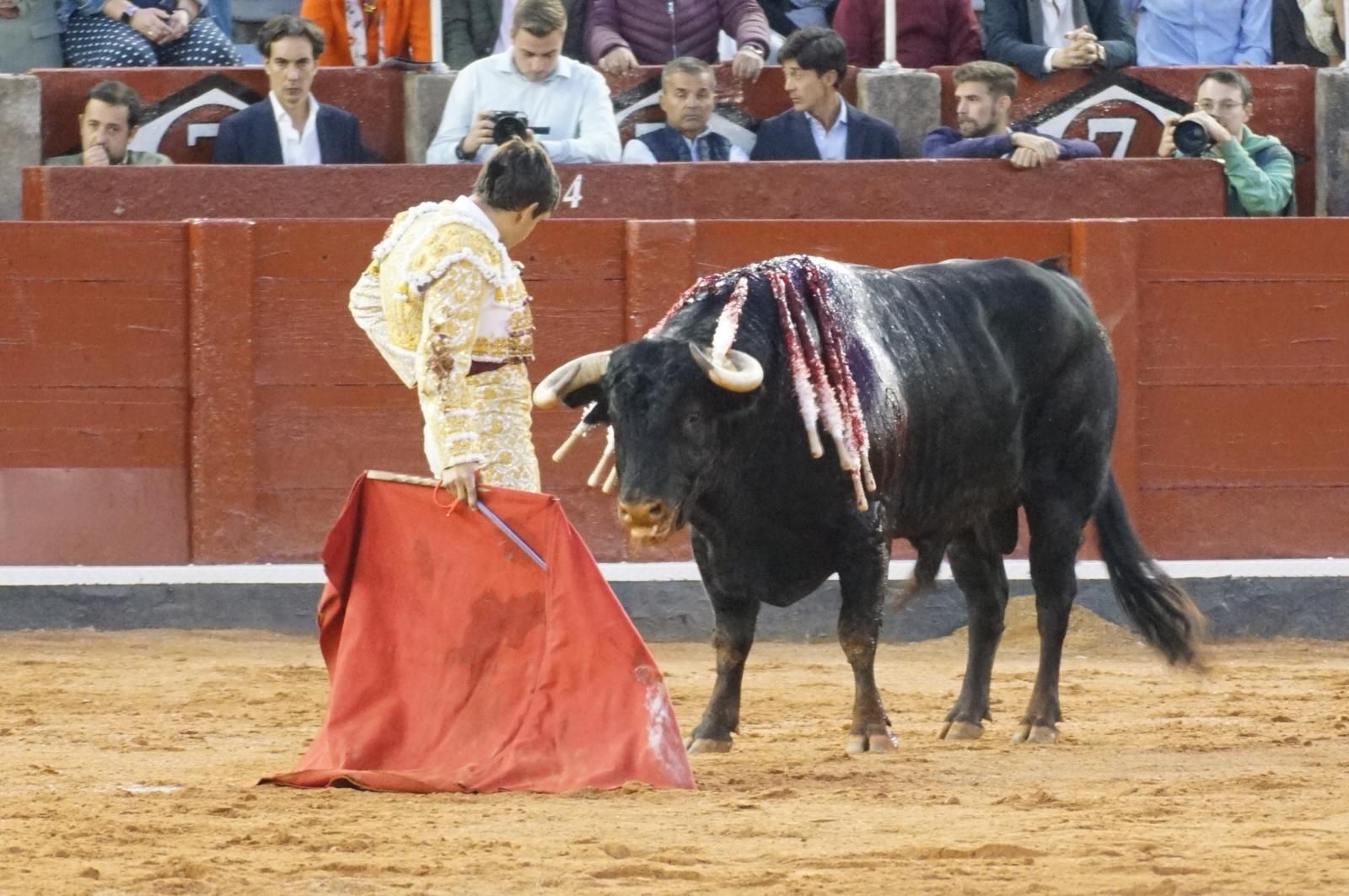 corrida-concurso-momentos-mas-destacados-del-ultimo-festejo-de-abono-de-la-feria-taurina-virgen-de-la-vega-2024-fotos-carlos-h-g-y-juanes-23