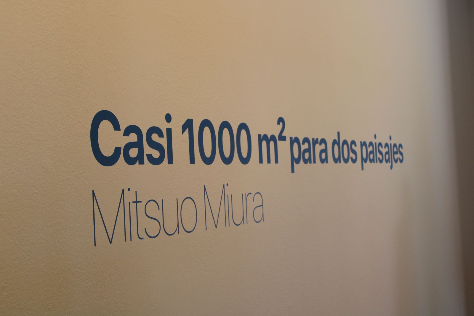 exposicion-casi-1-000-m2-para-dos-paisajes-foto-s24h-46