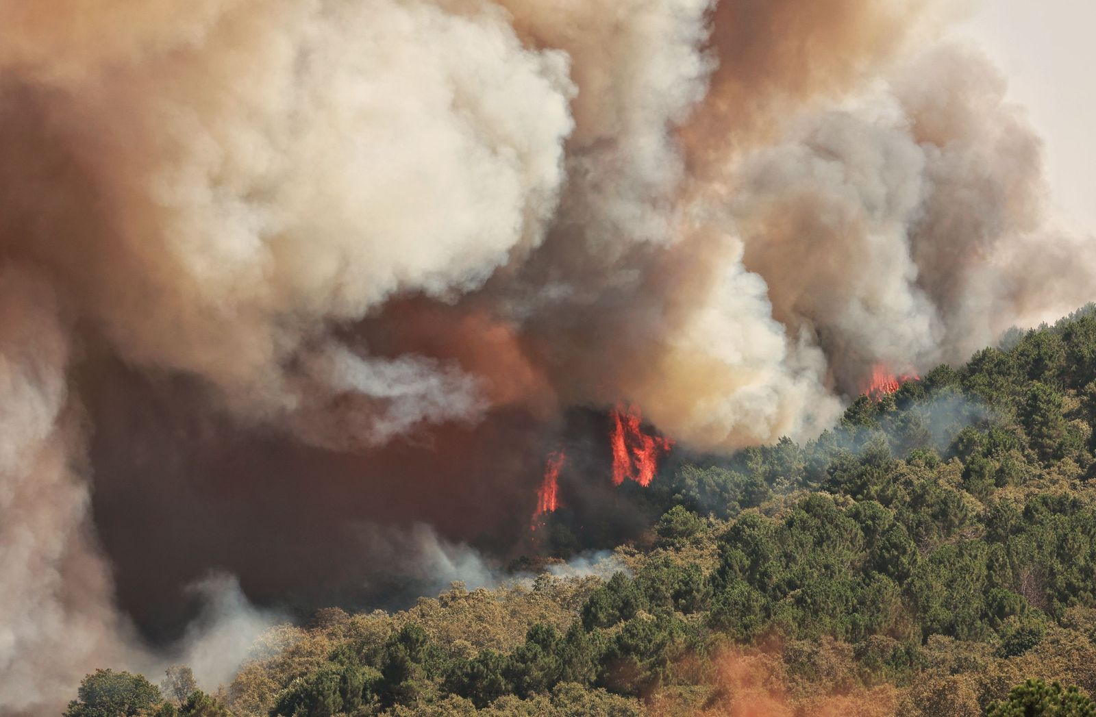 Incendio forestal en El Payo. Fotos ICAL Jose Vicente  (11).jpg