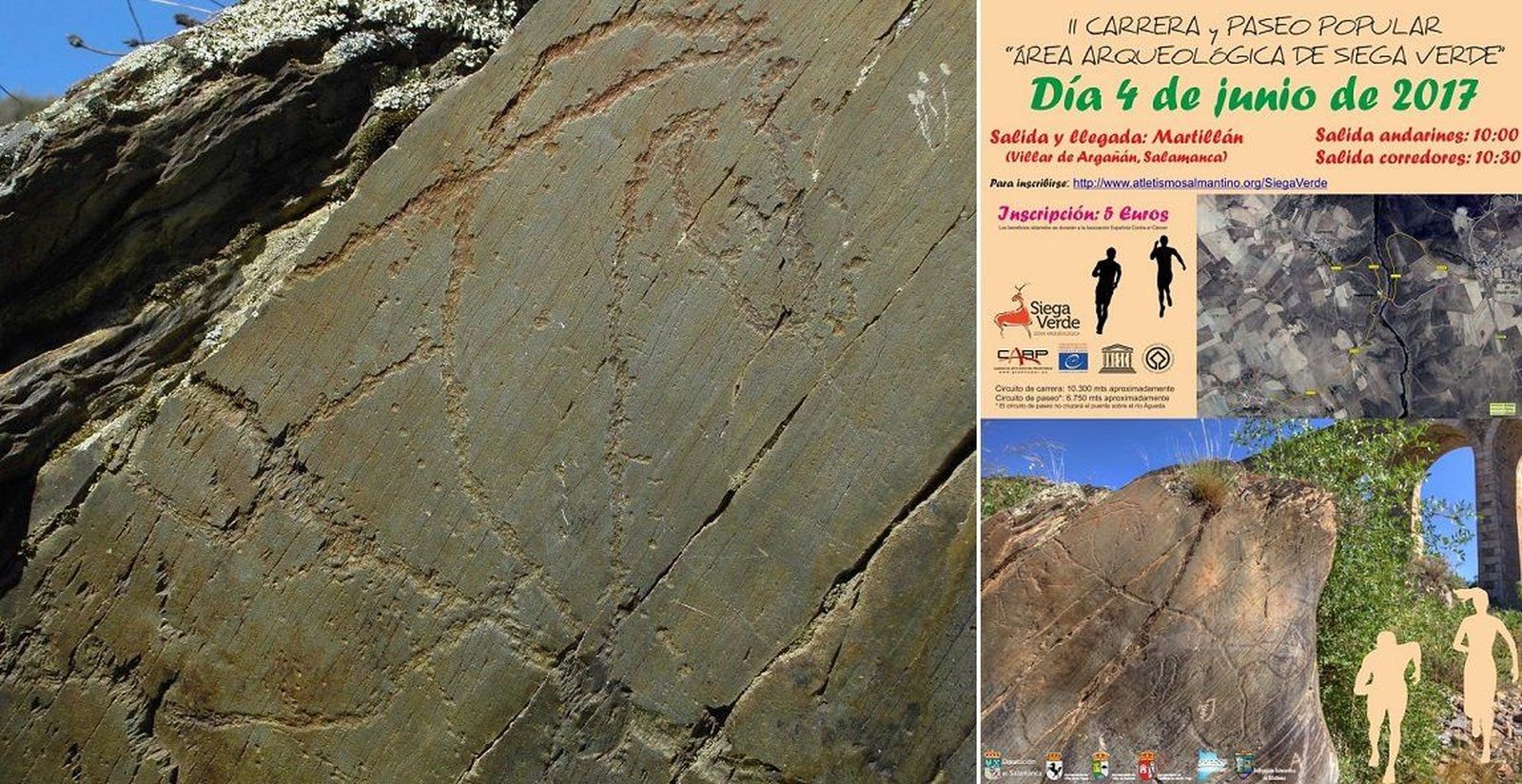 Adecocir continúa promocionando Siega Verde