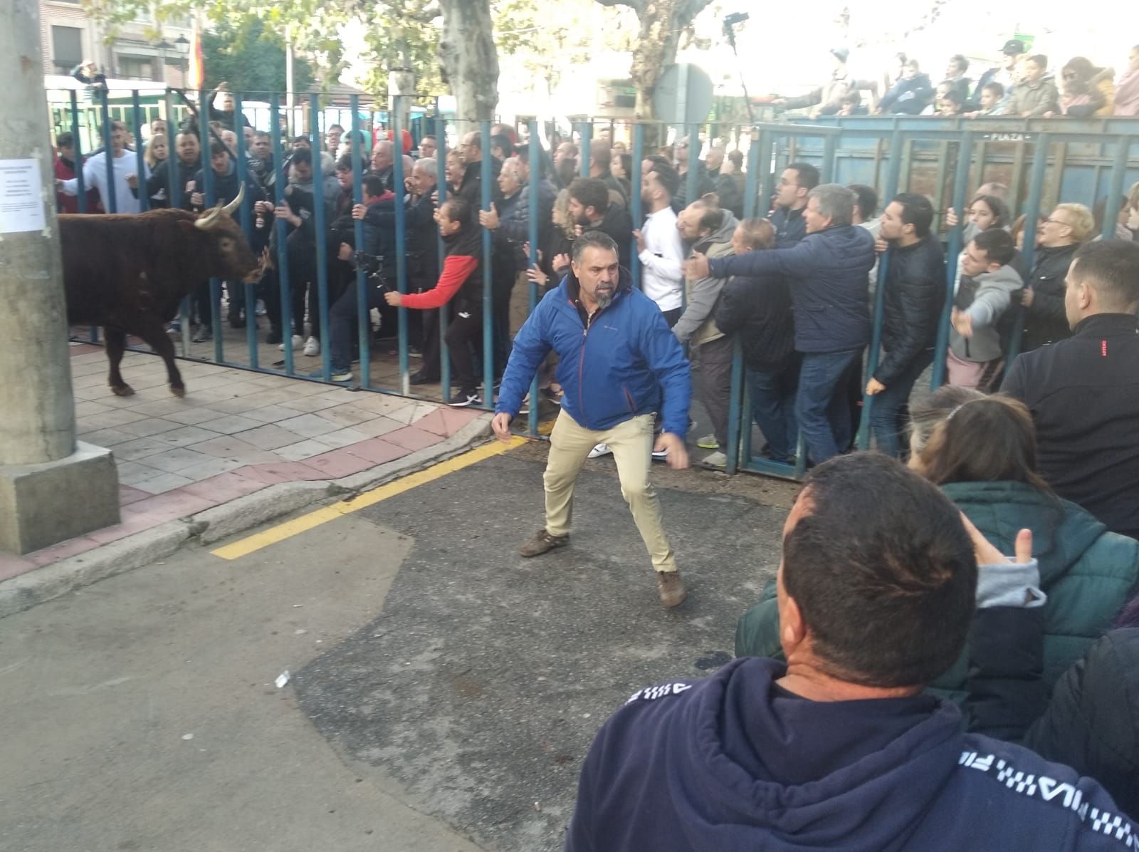 Toro del cajón de Cantalapiedra