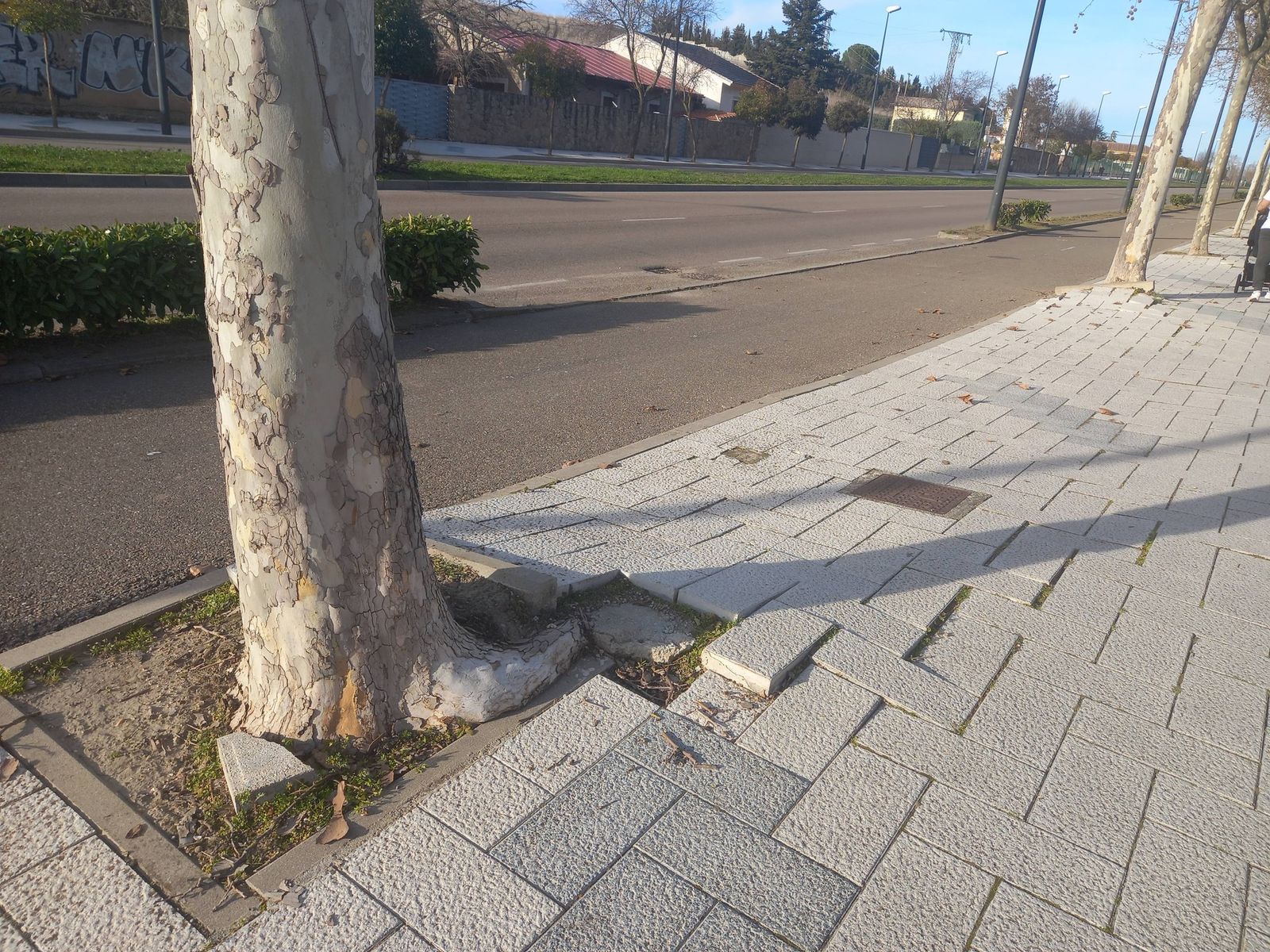 Imagen del paseo de La Aldehuela