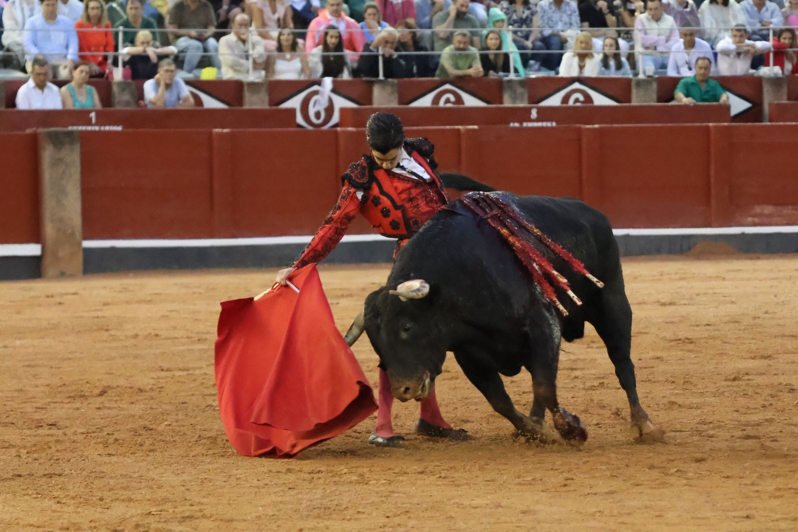 Ismael Martín, Marco Pérez y el aclamado regreso de Morante de la Puebla: su paso por La Glorieta en imágenes