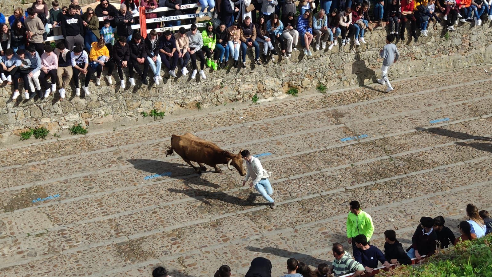galeria-ambiente-con-la-suelta-de-vaquillas-en-el-domingo-de-pinata-en-ciudad-rodrigo-4
