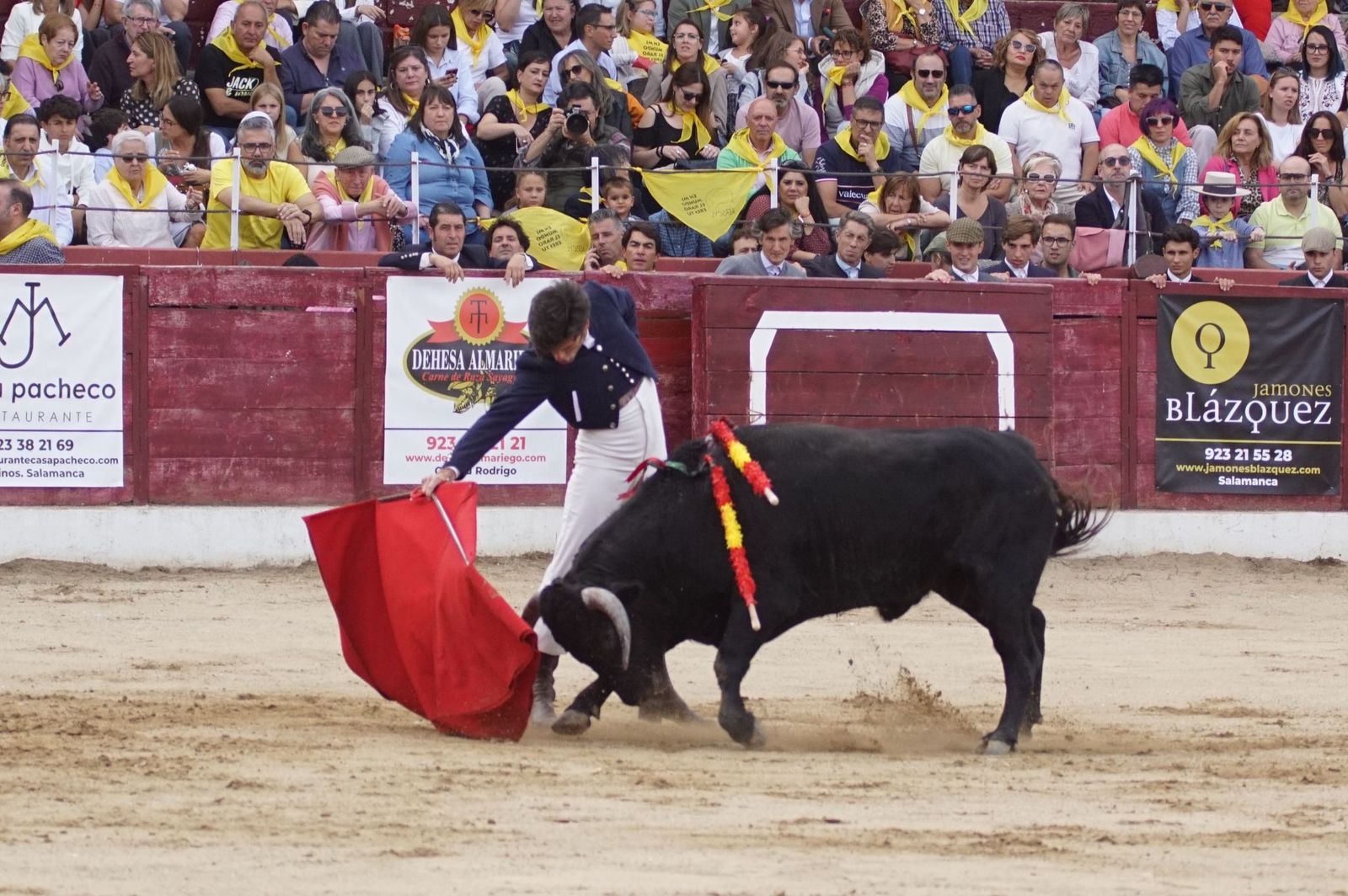 whatsapp-image-2024-10-05-at-19-56-53-1