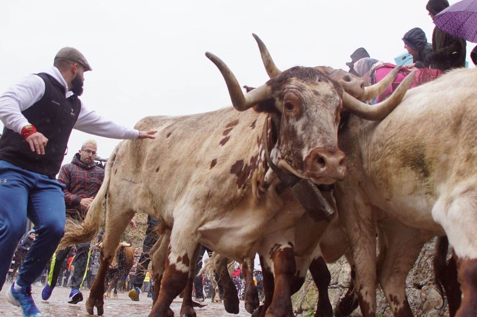 whatsapp-image-2025-03-03-at-14-51-25-2