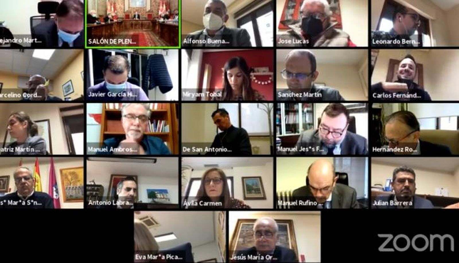 Pleno telemático Diputación, febrero 2021