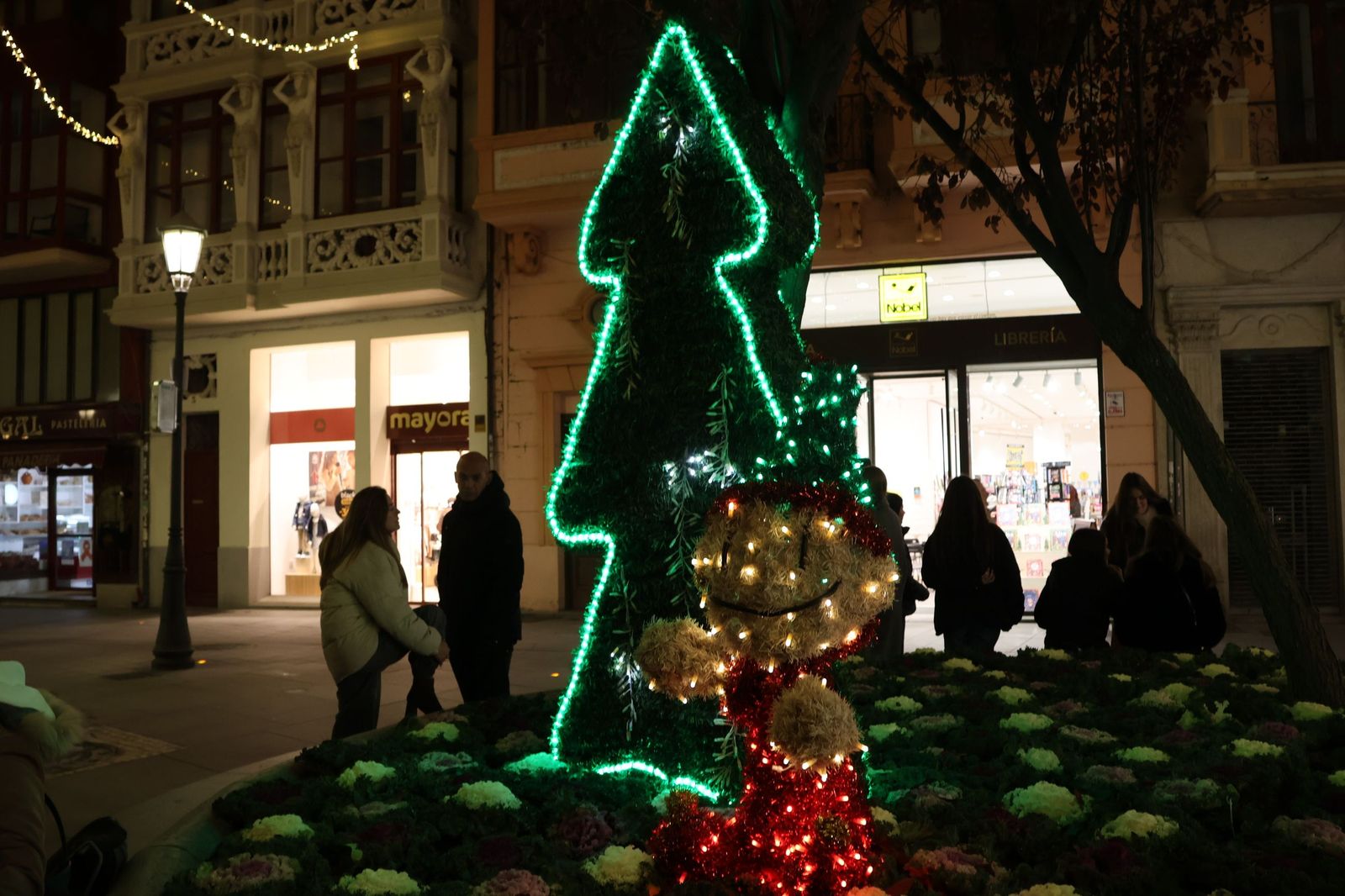 Encendido navideño en Zamora 2025 (49).JPG