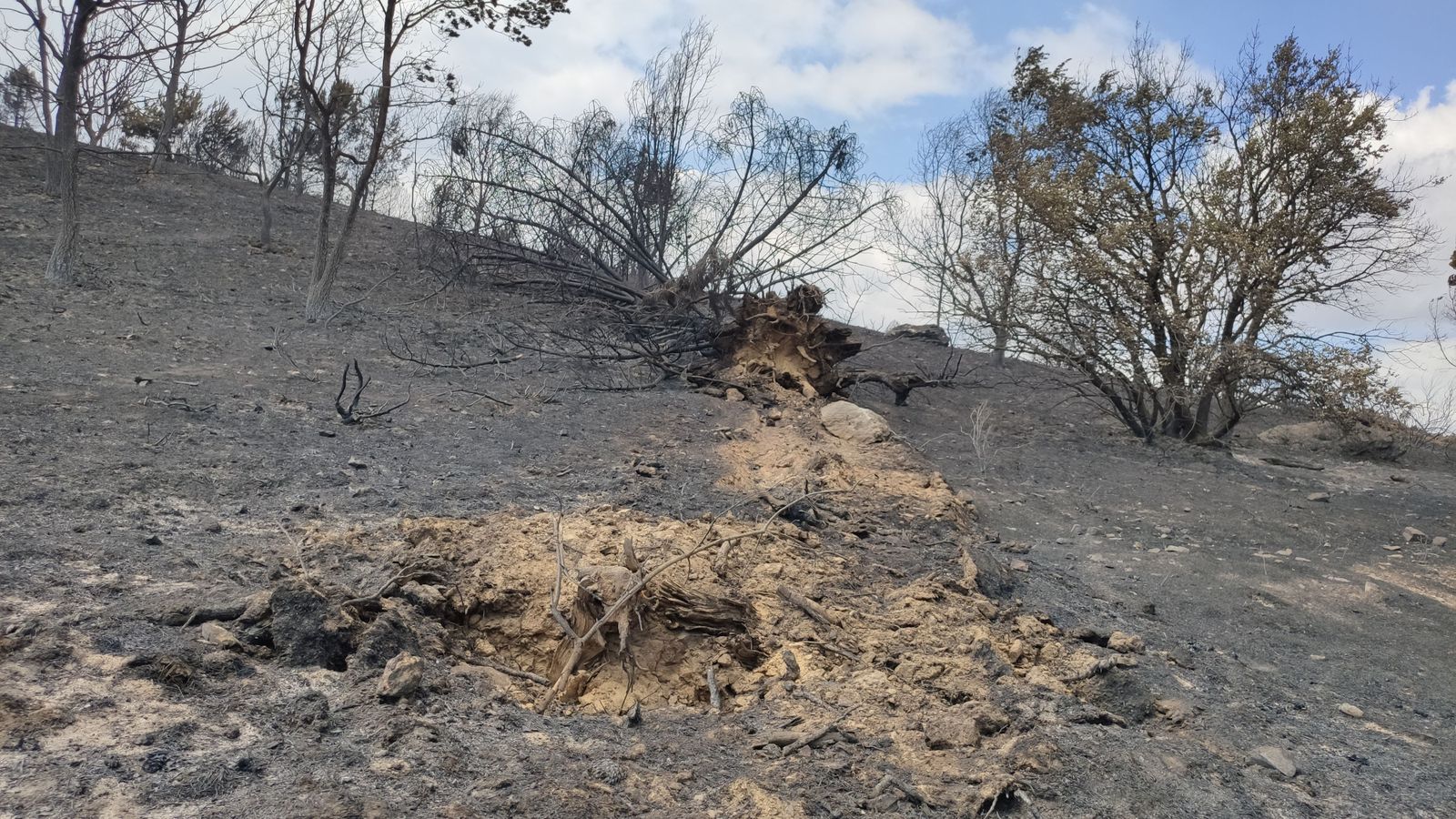 las-desoladoras-imagenes-de-la-sierra-de-la-culebra-tras-el-incendio-27