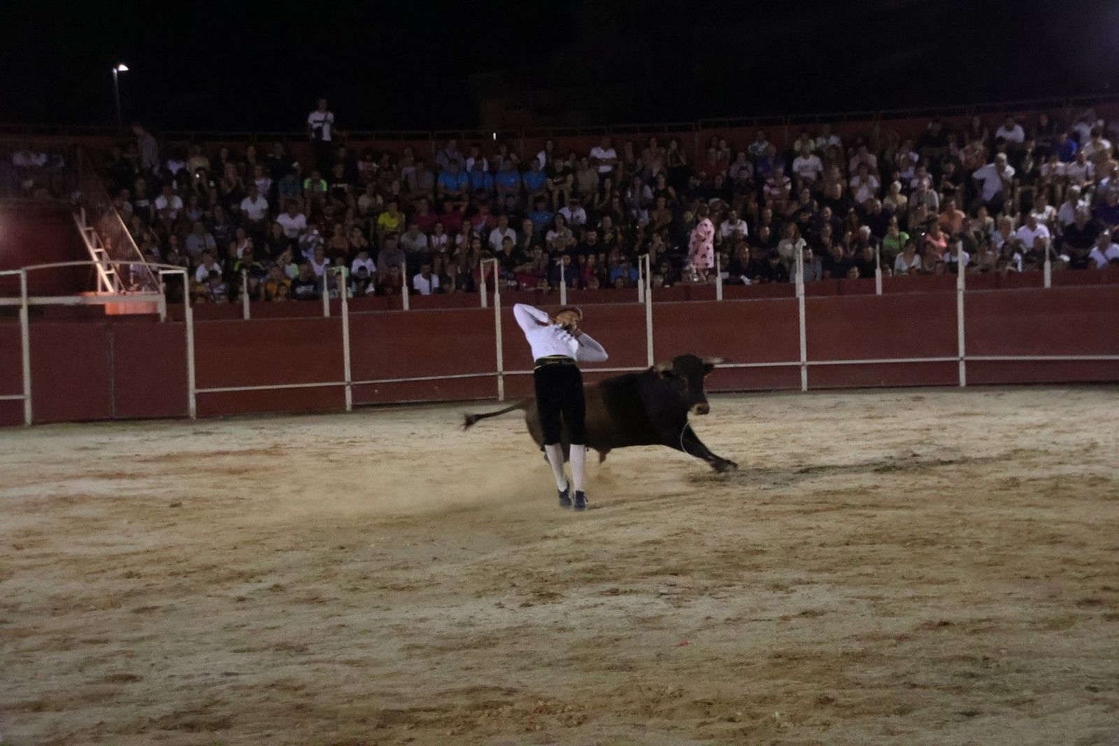 20230814214955-img-2161