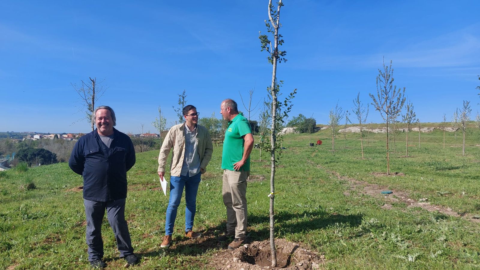Nuevas plantaciones de árboles
