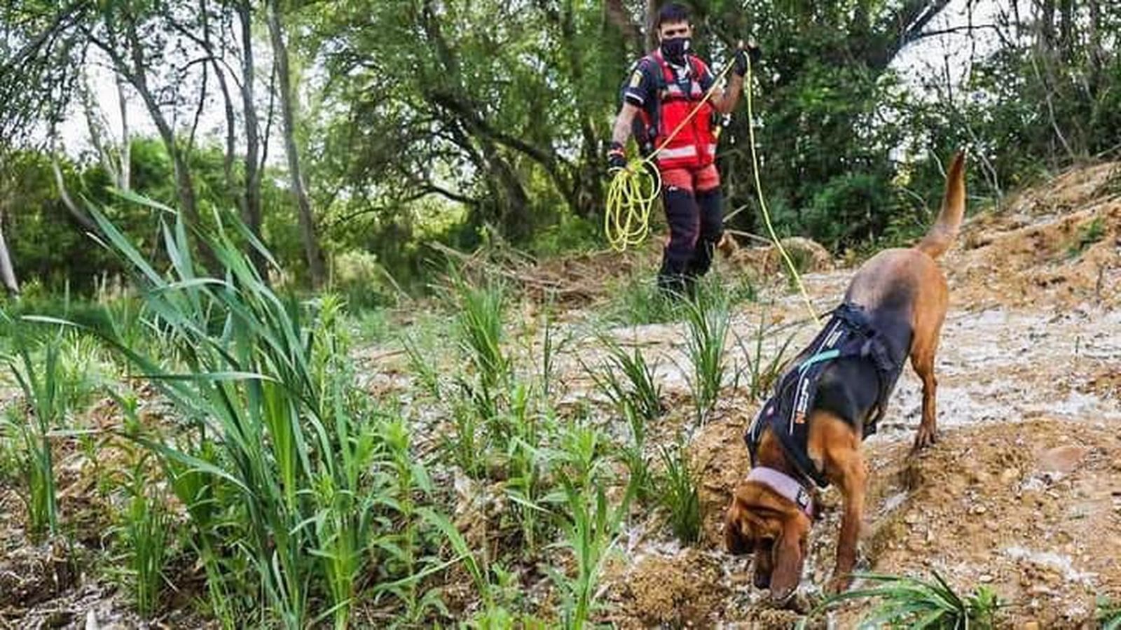 Perros de rescate de UCAS de Arrate