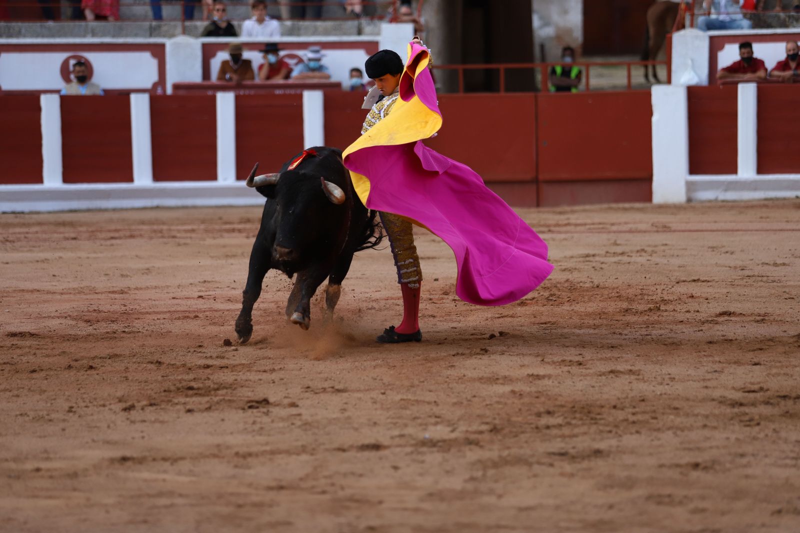 roca-rey-pablo-aguado-y-daniel-luque-en-zamora-9