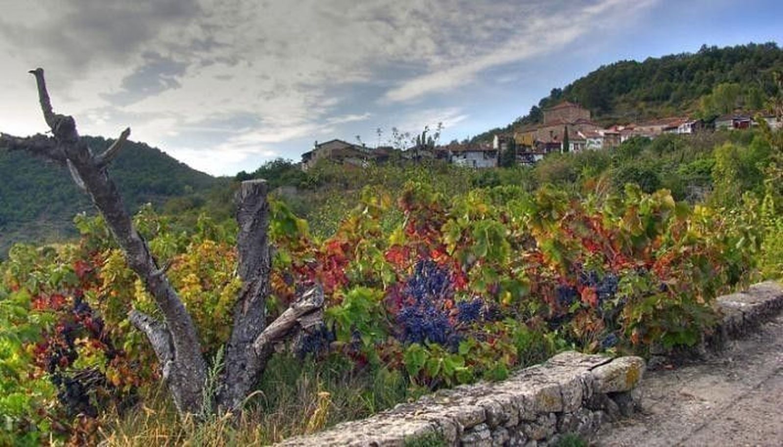 El charco de la mora de Mogarraz