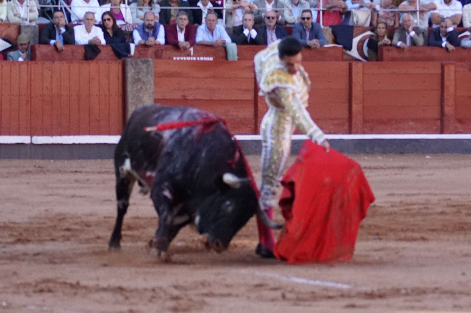 La corrida concurso para despedir la feria con Morante, Talavante y Borja Jiménez: imágenes de los mejores momentos en La Glorieta