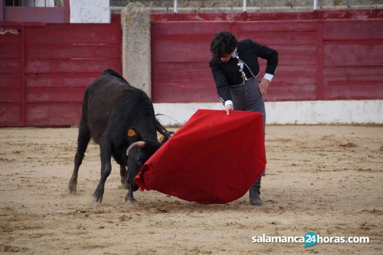Bolsín Taurino Mirobrigense Ciudad Rodrigo