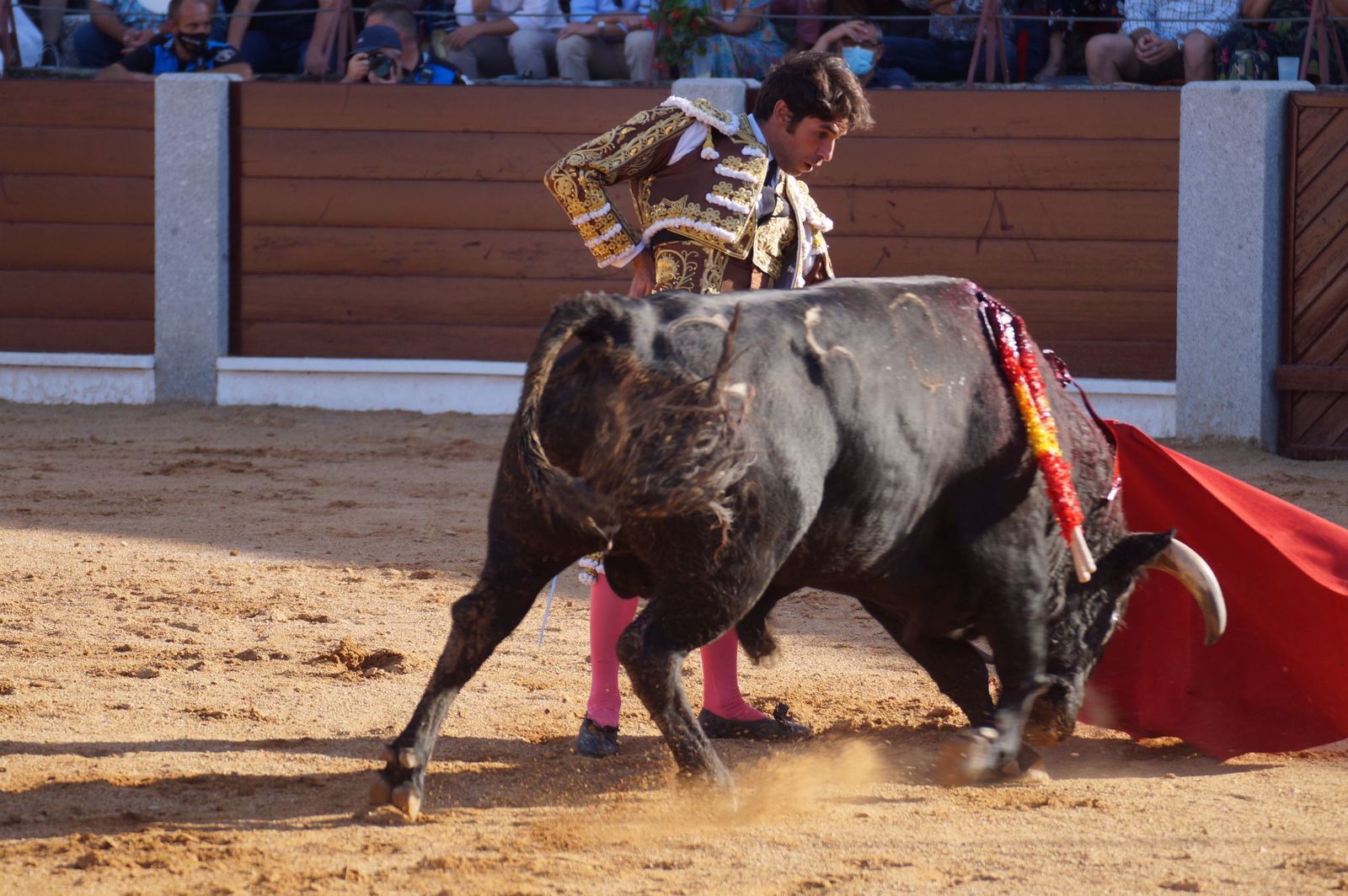 toros-en-guijuelo-15-de-agosto-62