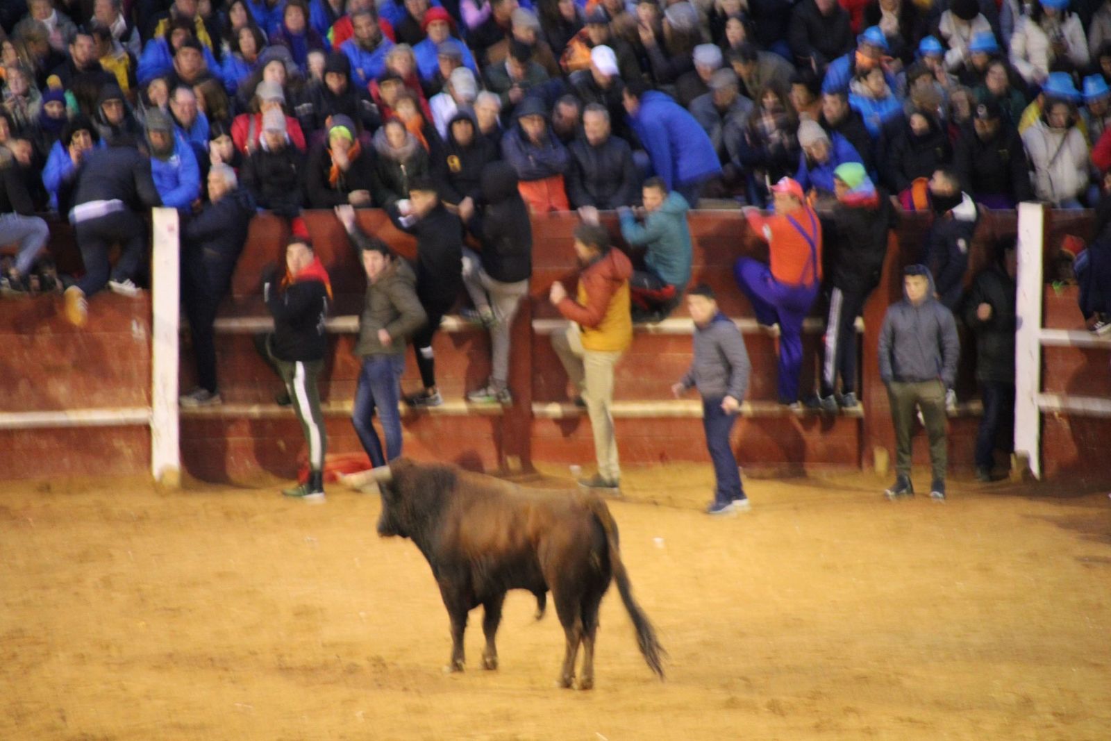 whatsapp-image-2025-03-02-at-19-32-44