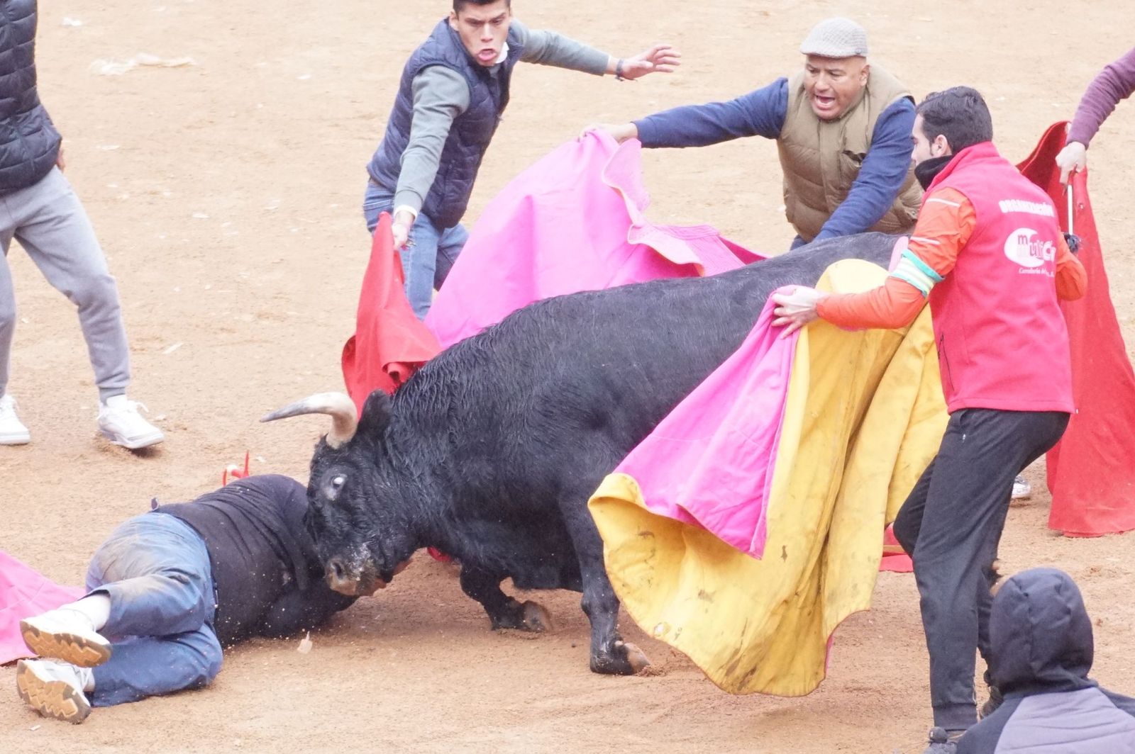 Capea matinal de domingo de carnaval en Ciudad Rodrigo (40).jpeg