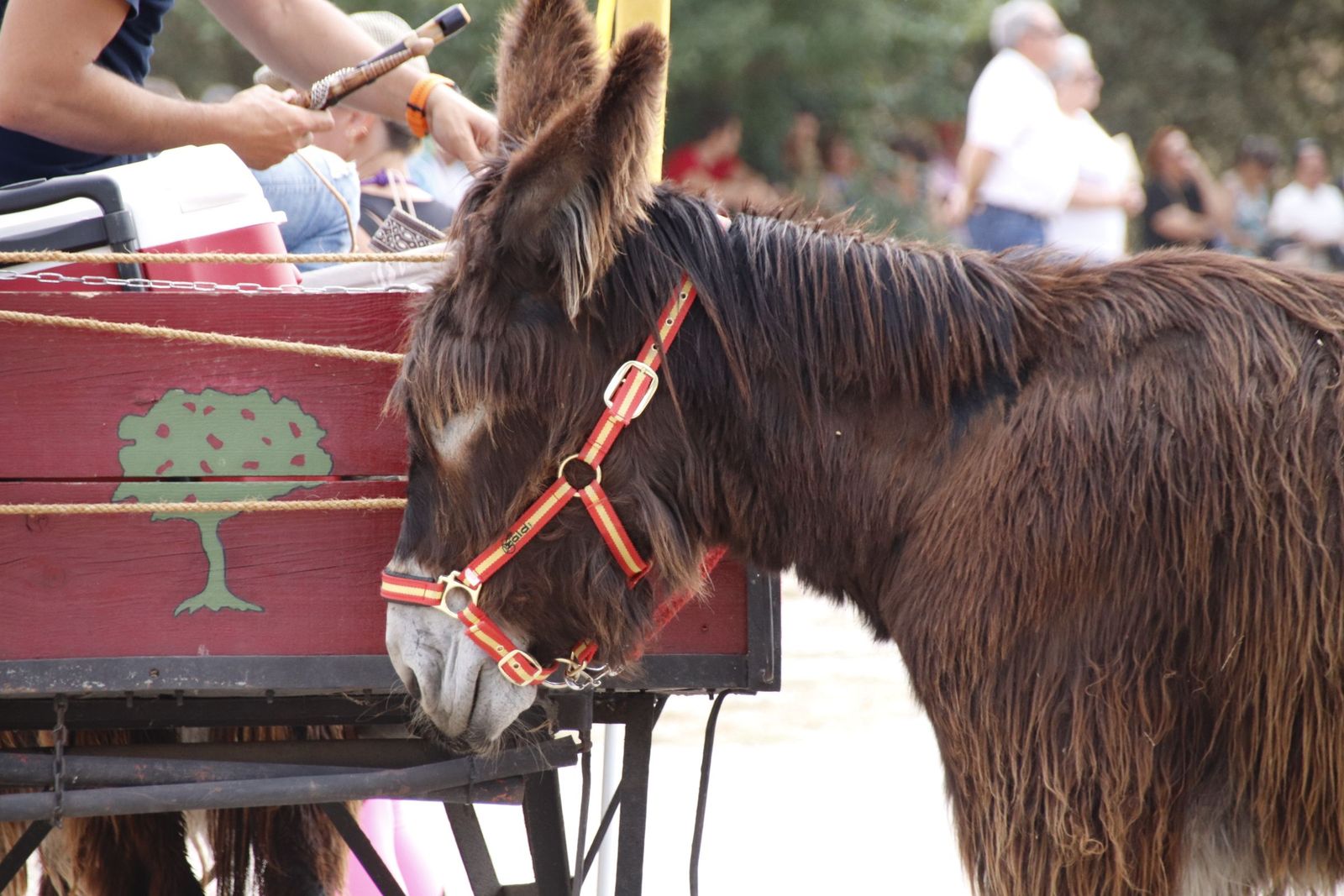 20220618110745-mg-4807