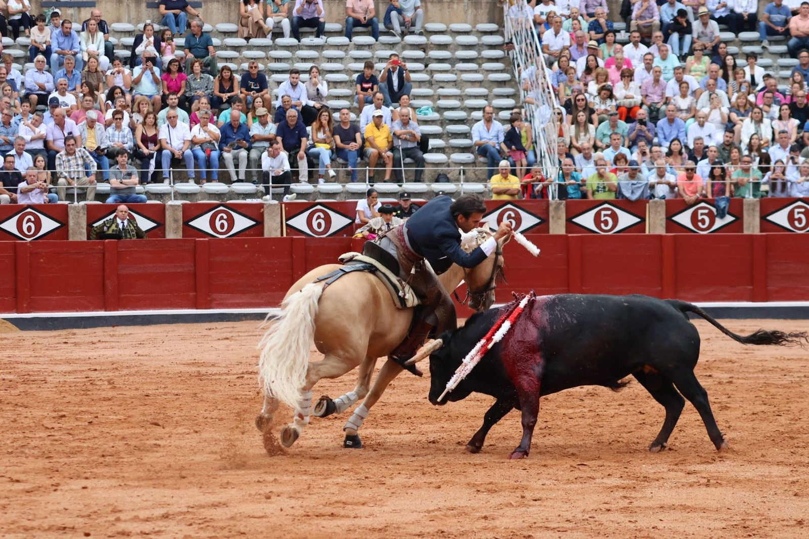 20230909174658-img-0547