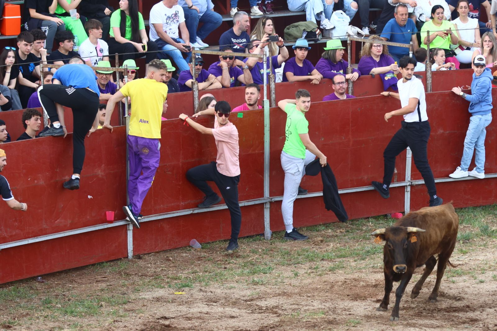 Grand Prix y Capea en Doñinos
