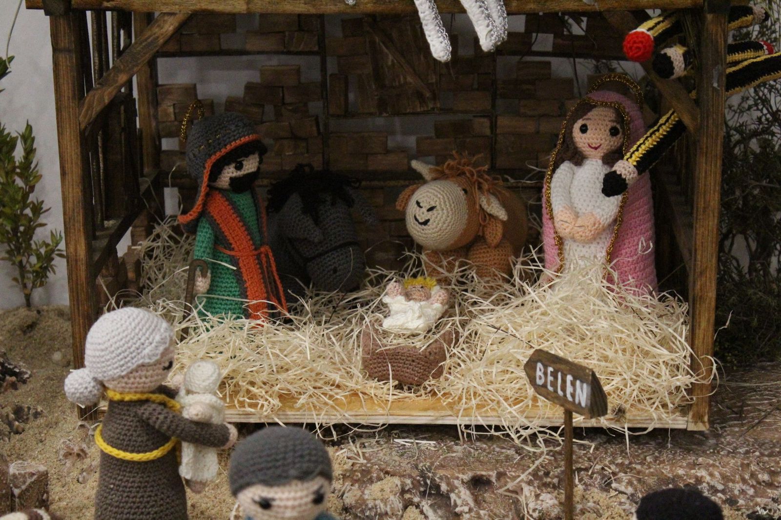 20231205185617-img-6587