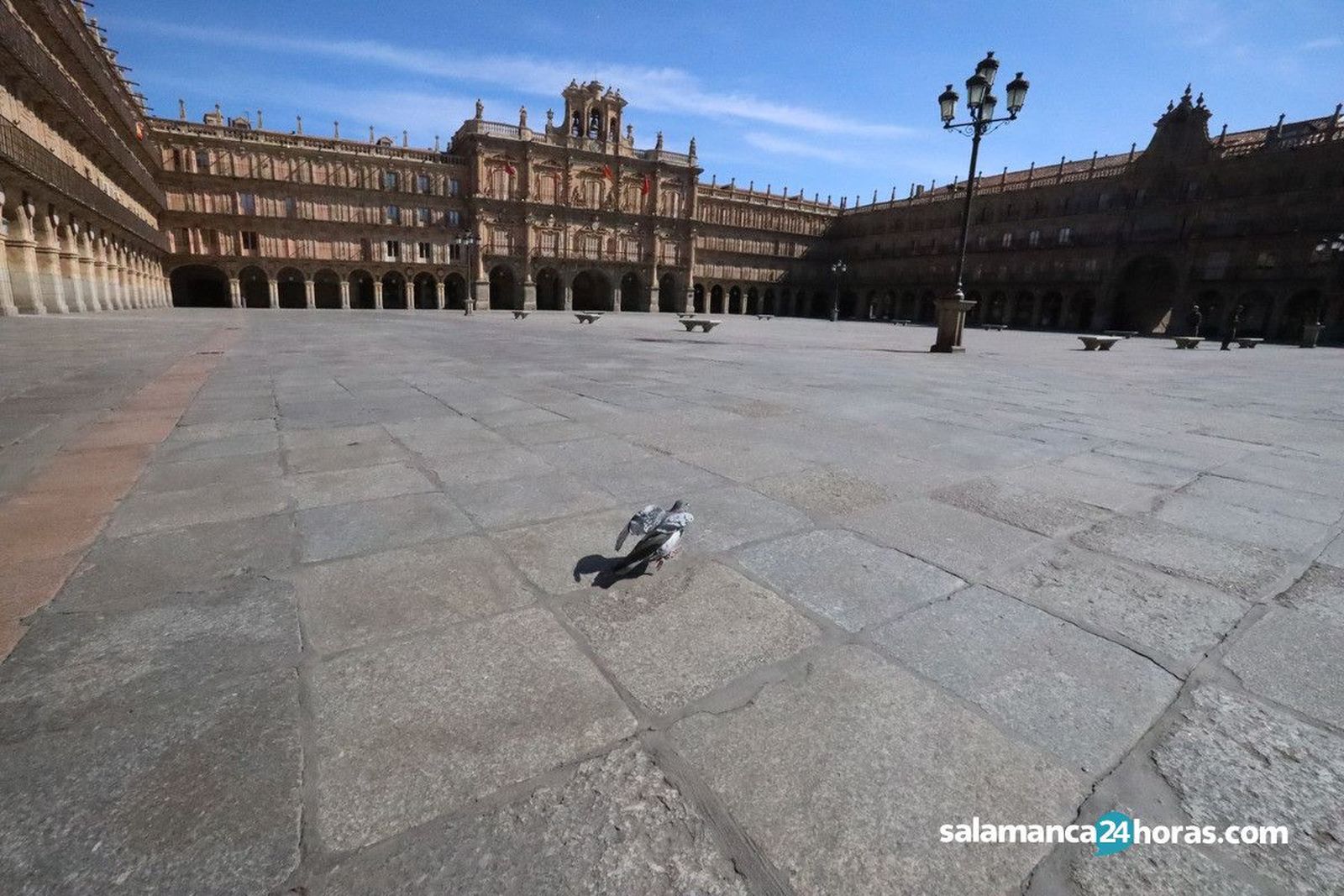 Plaza mayor vaciaWhatsApp Image 2020 09 10 at 19.16.31 (3)