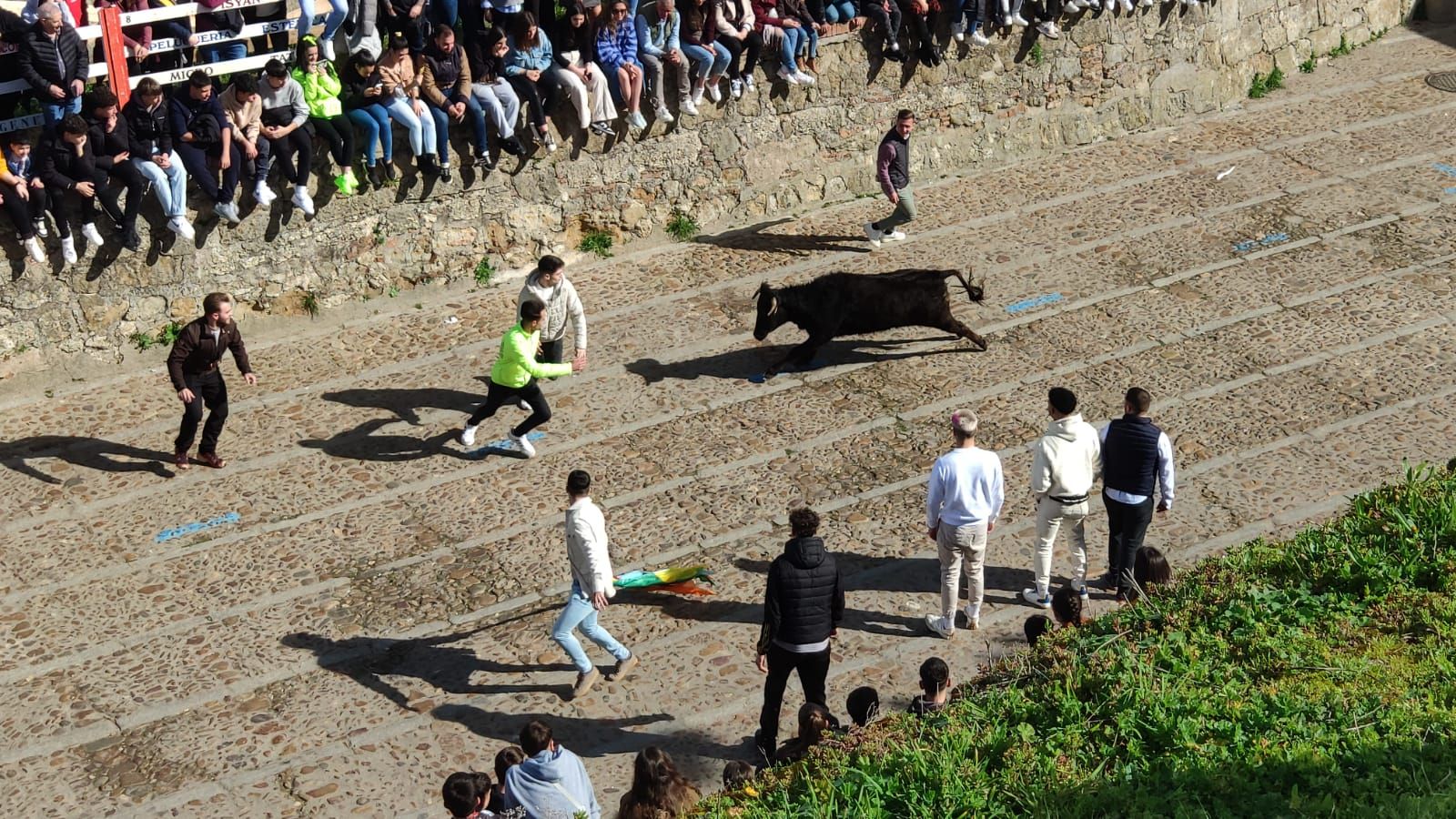 ambiente-con-la-suelta-de-vaquillas-en-el-domingo-de-pinata-en-ciudad-rodrigo-2