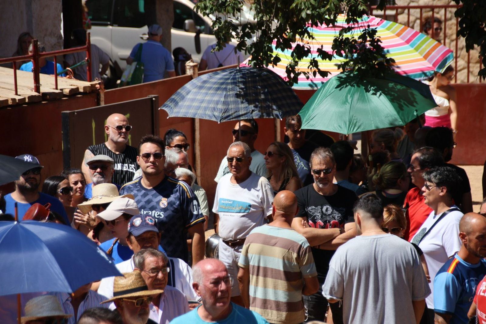 20240822134221-img-5221