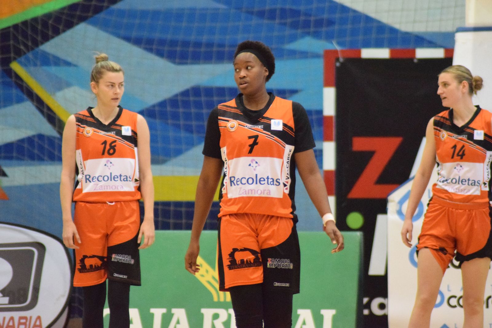 Zamarat   Celta (31)