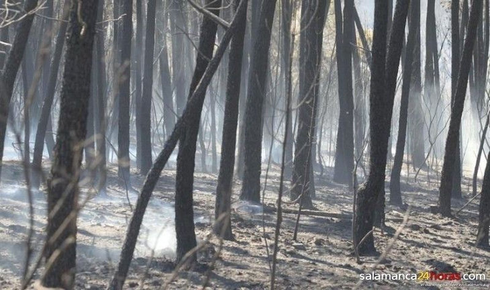 Alerta por el aumento de riesgo meteorológico de incendios forestales
